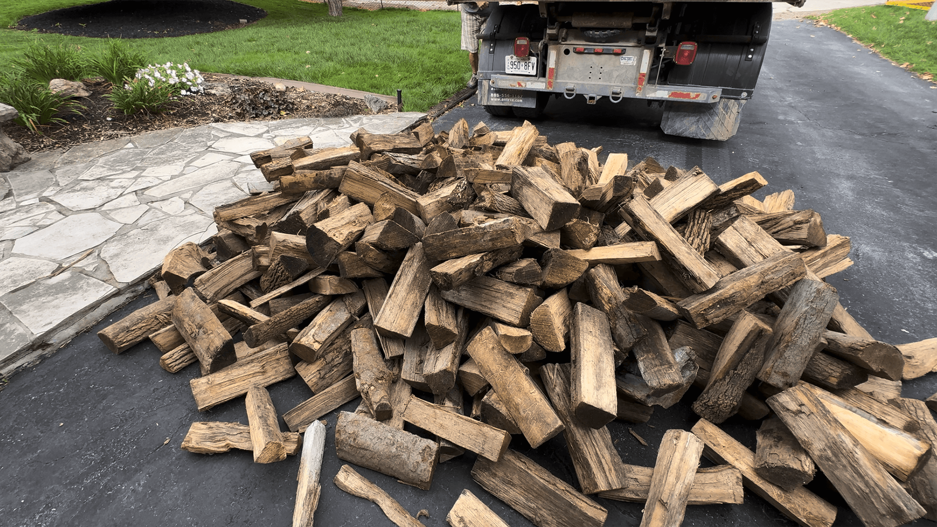 Burlington dry firewood, gallery photo