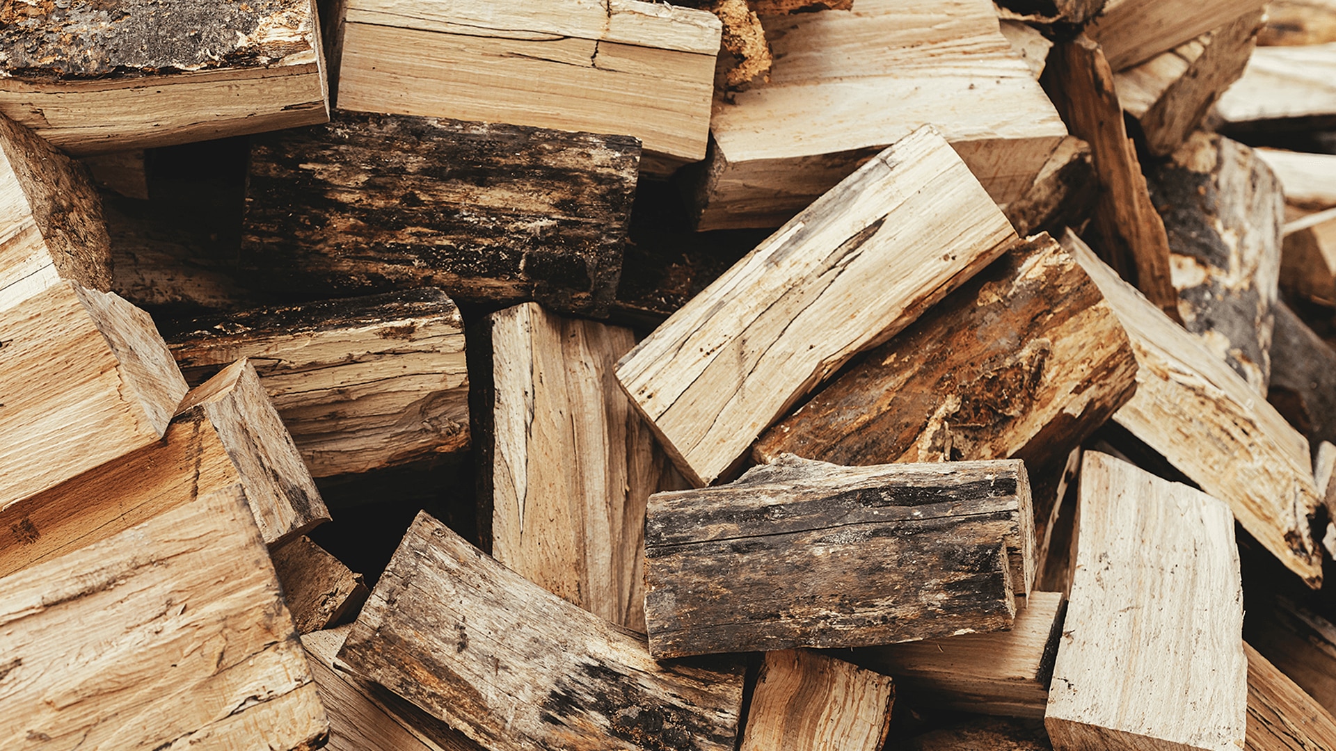 Mississauga dry firewood, gallery photo