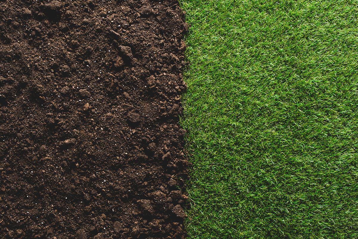 Top Dress Soil for Sale Burlington