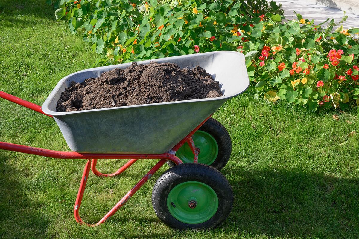 Top Dress Soil for Sale Burlington