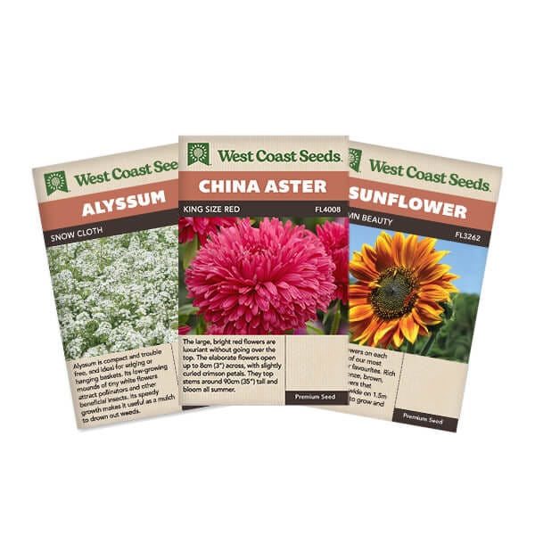Flower Seeds
