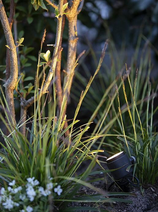 DIY Outdoor Lighting: Plan, Install, and Illuminate Your Yard