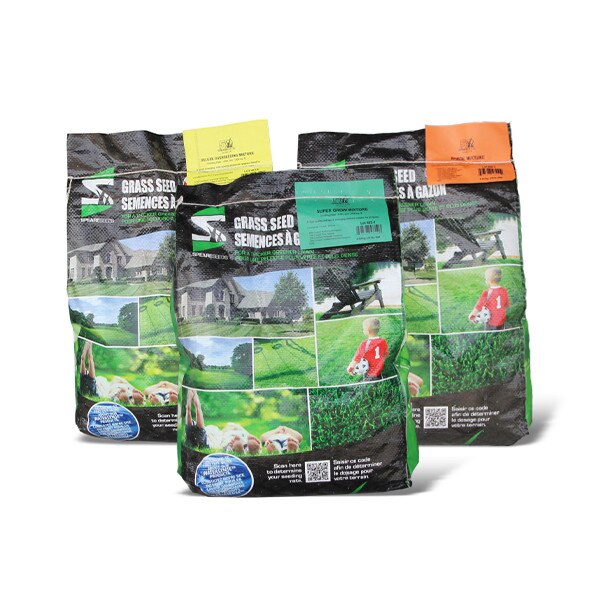 How Early Can You Plant Grass Seed?
