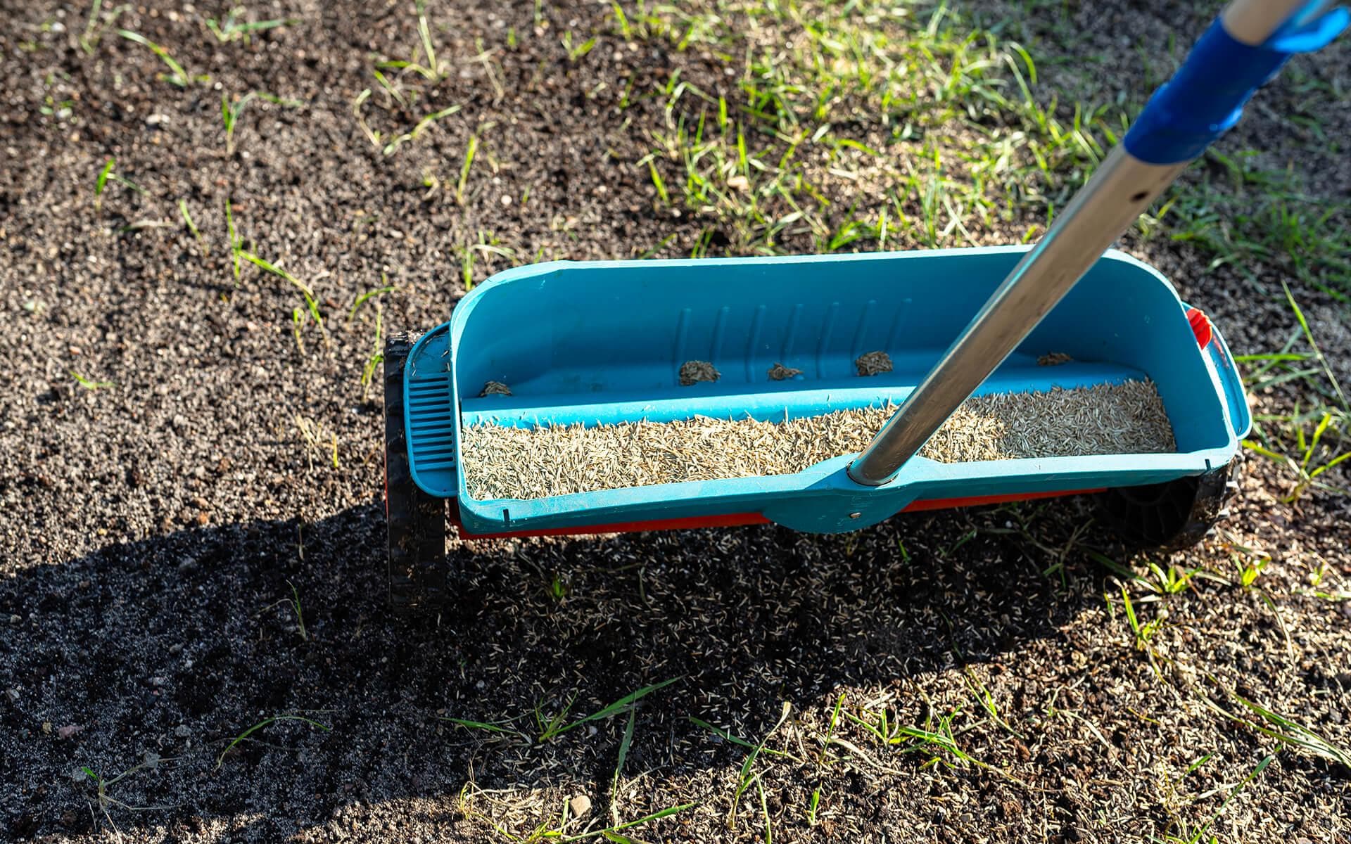 Grass Seed Germination: How to Achieve 90% Germination