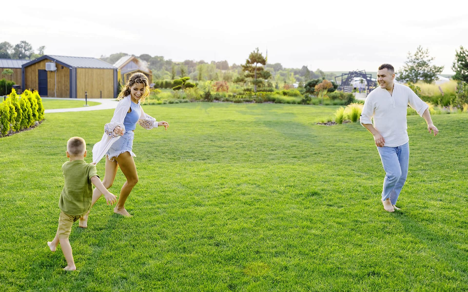 Grass Seed Germination: How to Achieve 90% Germination