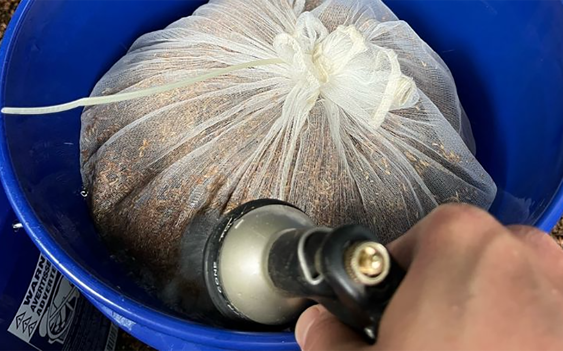 Grass Seed Germination: How to Achieve 90% Germination