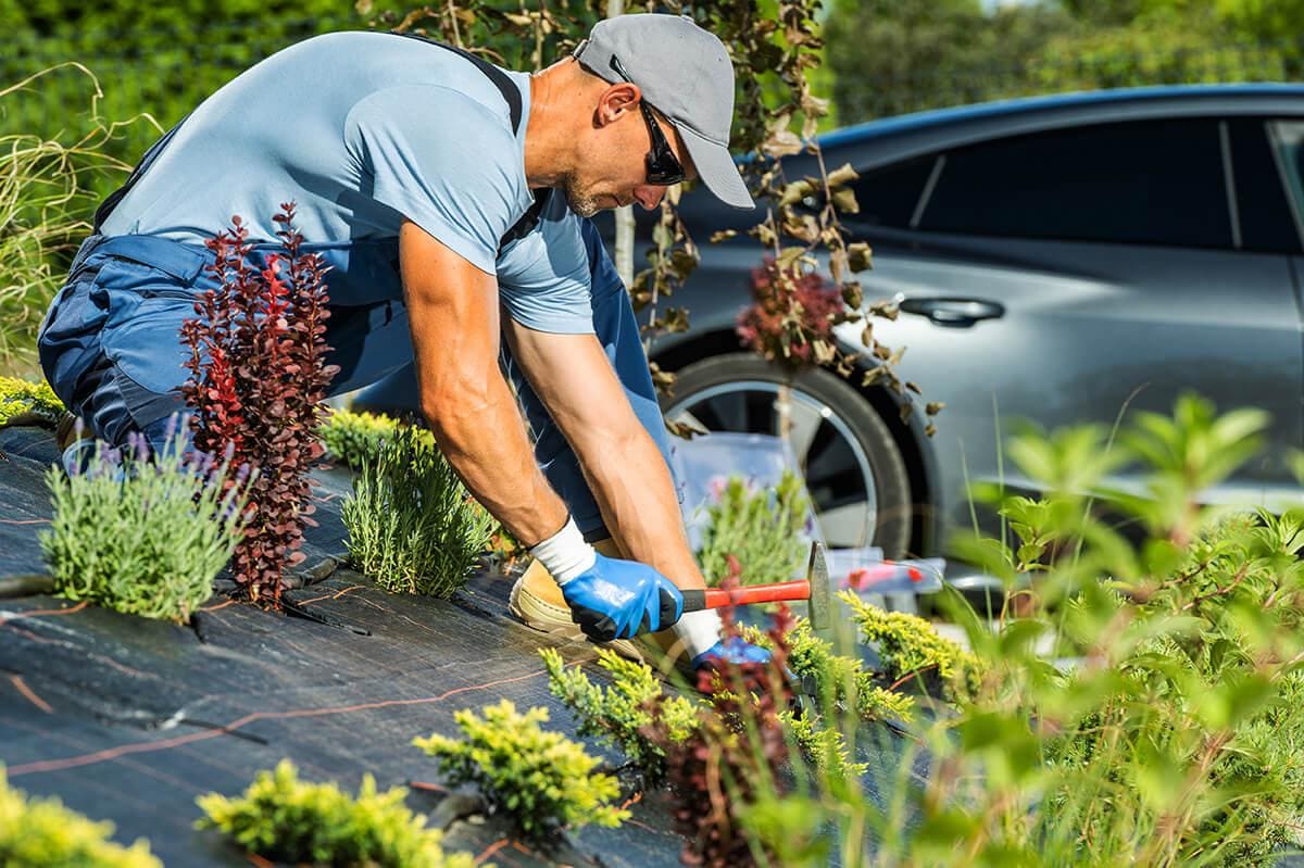 Your Guide to Garden Weeds in Ontario: Identify, Eliminate & Prevent