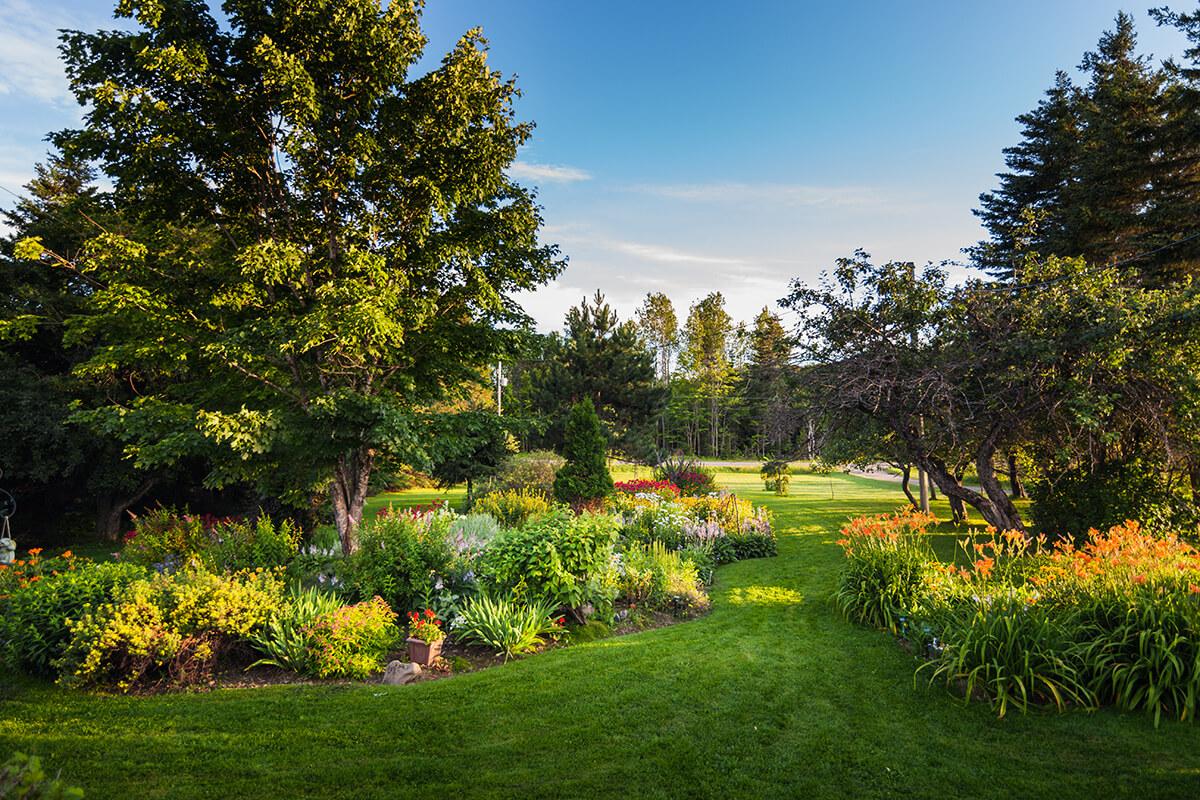 Your Guide to Garden Weeds in Ontario: Identify, Eliminate & Prevent