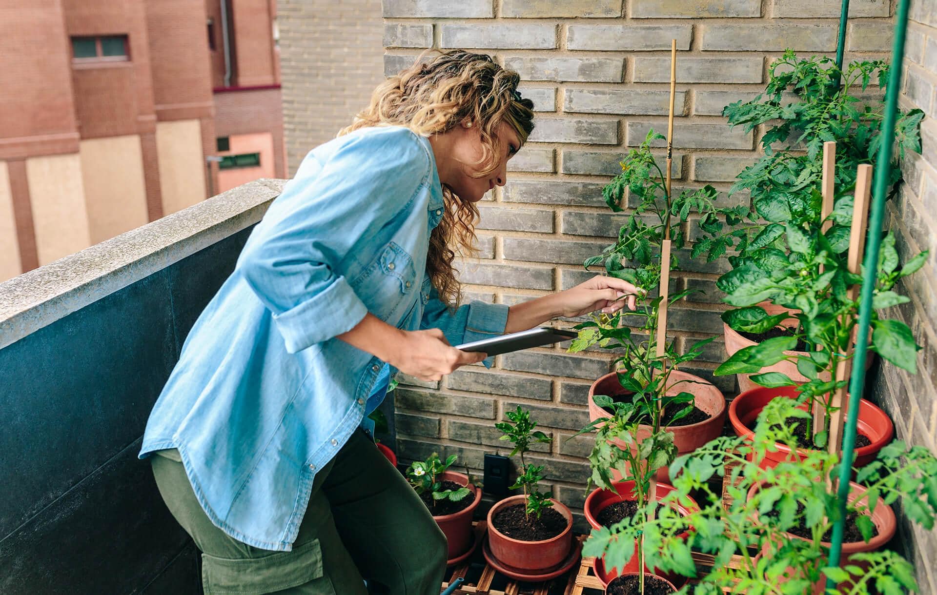 balcony gardening