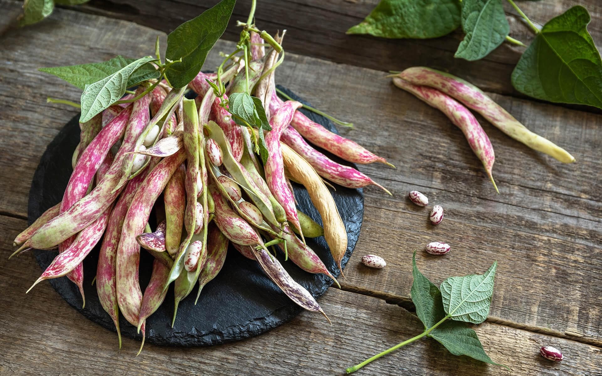 Beans