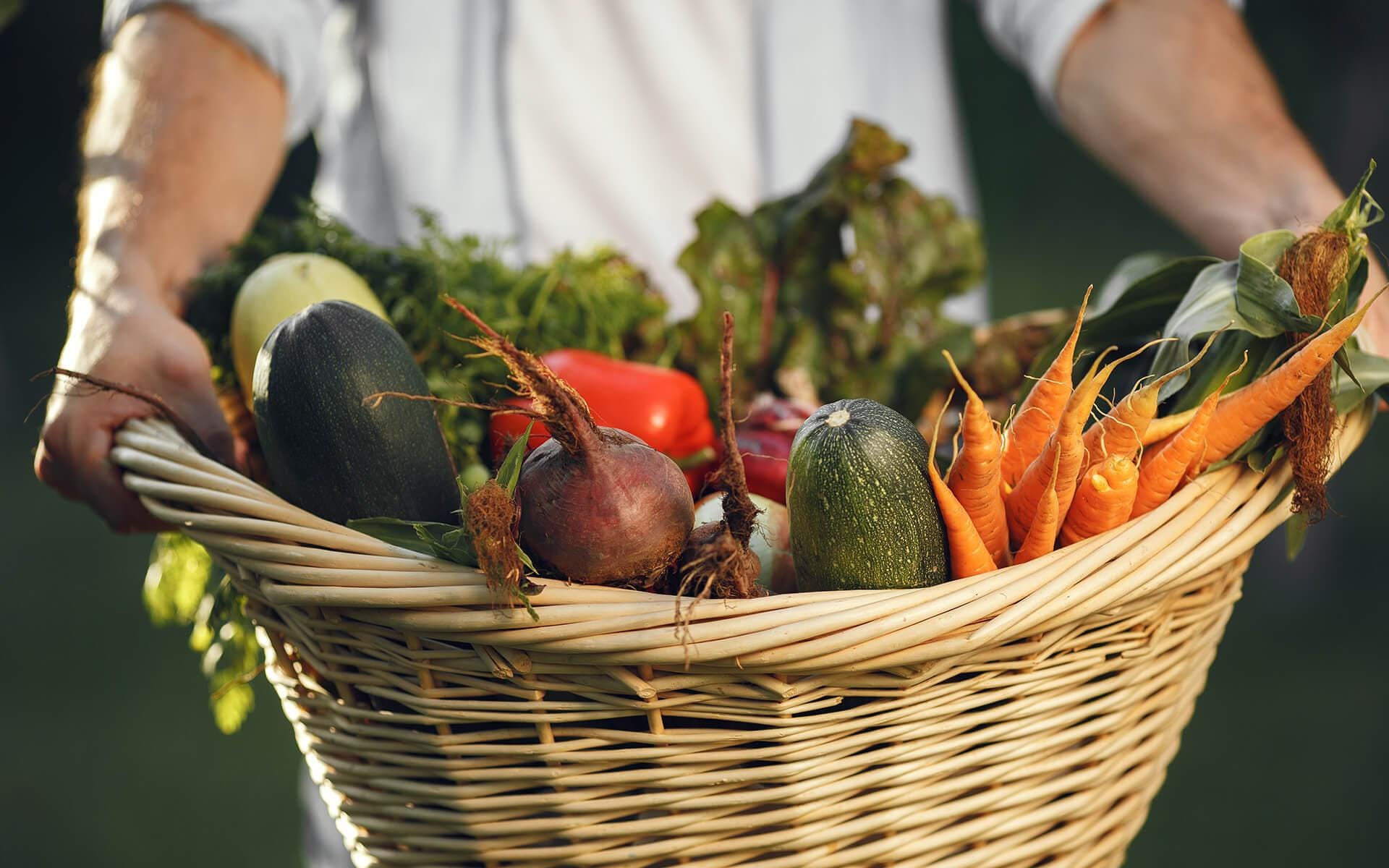 Guide to Growing a Thriving Vegetable Garden in Ontario