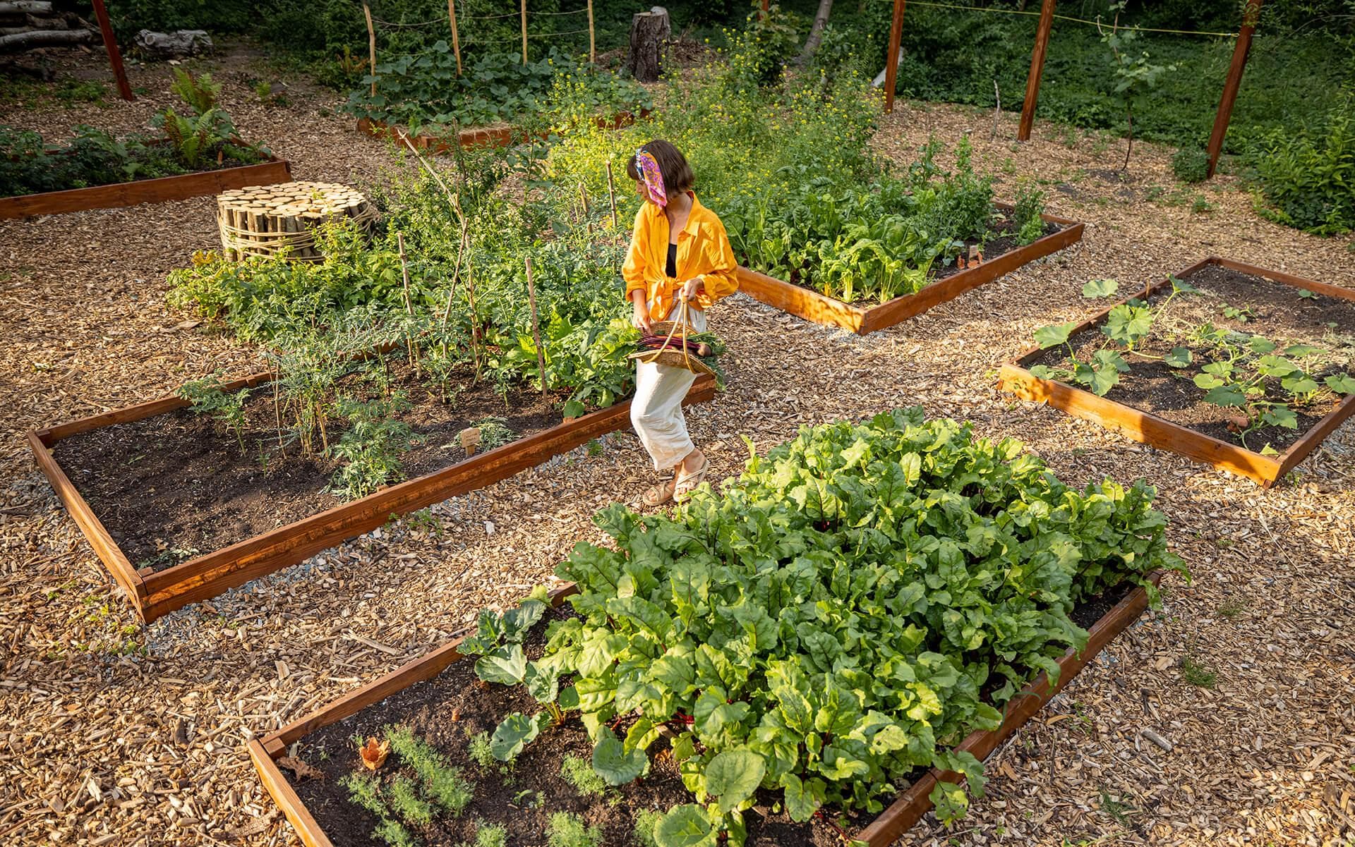 Guide to Growing a Thriving Vegetable Garden in Ontario