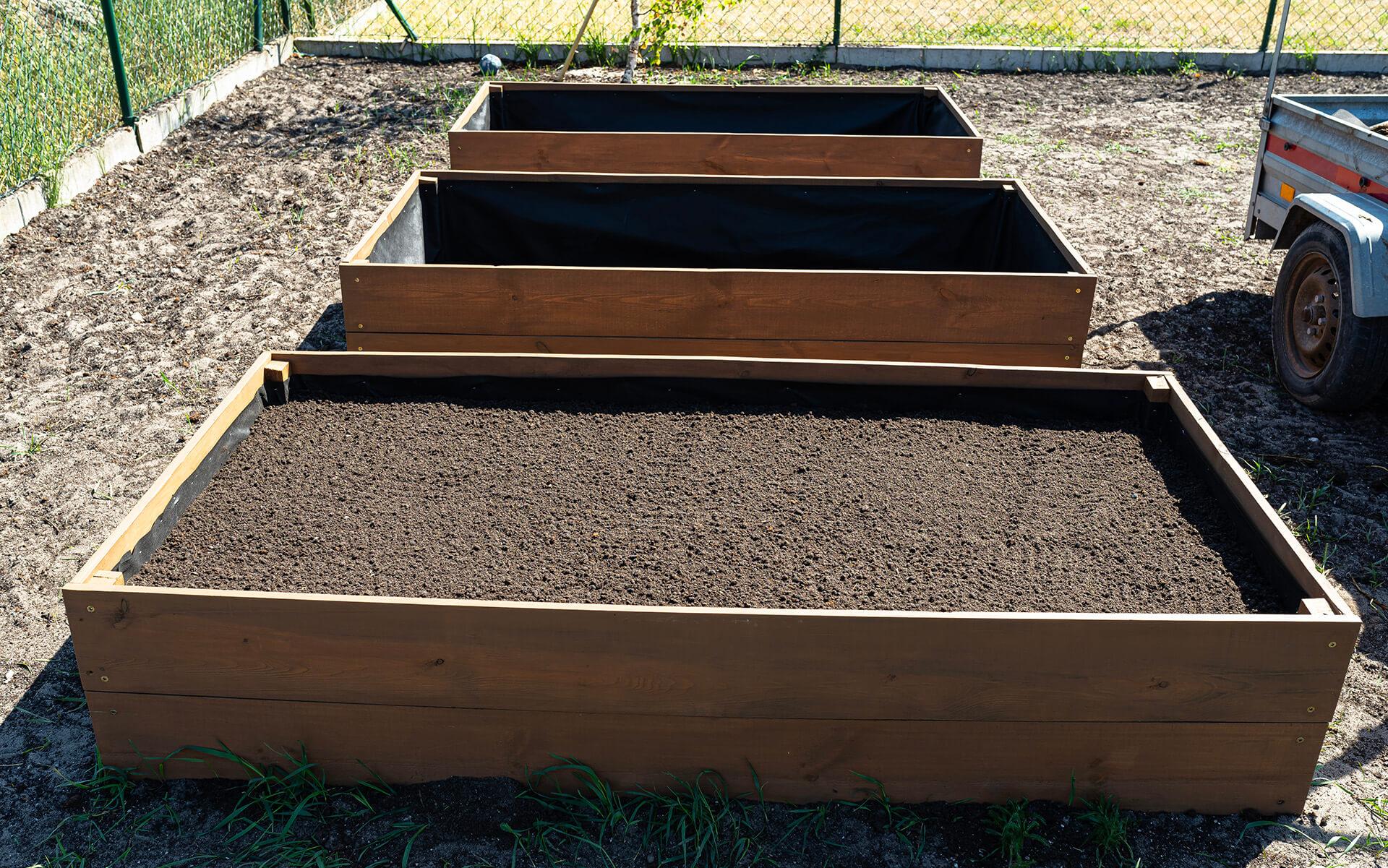 Guide to Growing a Thriving Vegetable Garden in Ontario