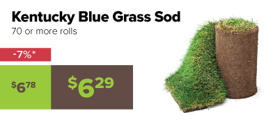 Bulk Sod Rolls 3% off
