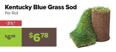 Sod Rolls 3% off