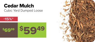 Cedar Mulch Cubic Yard Dumped Loose 15% off