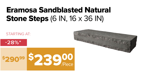 Eramosa Step 6in 16 x 36in 28% off