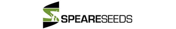 Speare Seeds Logo